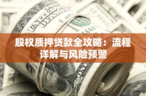 北京股权质押贷款全攻略：流程详解与风险预警