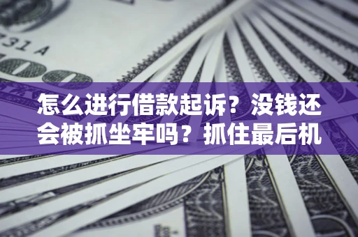 北京怎么进行借款起诉？没钱还会被抓坐牢吗？抓住最后机会！