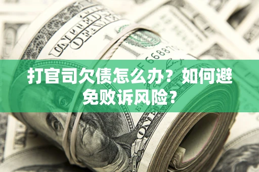 北京打官司欠债怎么办？如何避免败诉风险？