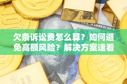 北京欠条诉讼费怎么算？如何避免高额风险？解决方案速看！