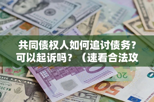 北京共同债权人如何追讨债务？可以起诉吗？（速看合法攻略）