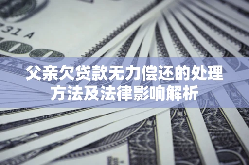 北京父亲欠贷款无力偿还的处理方法及法律影响解析